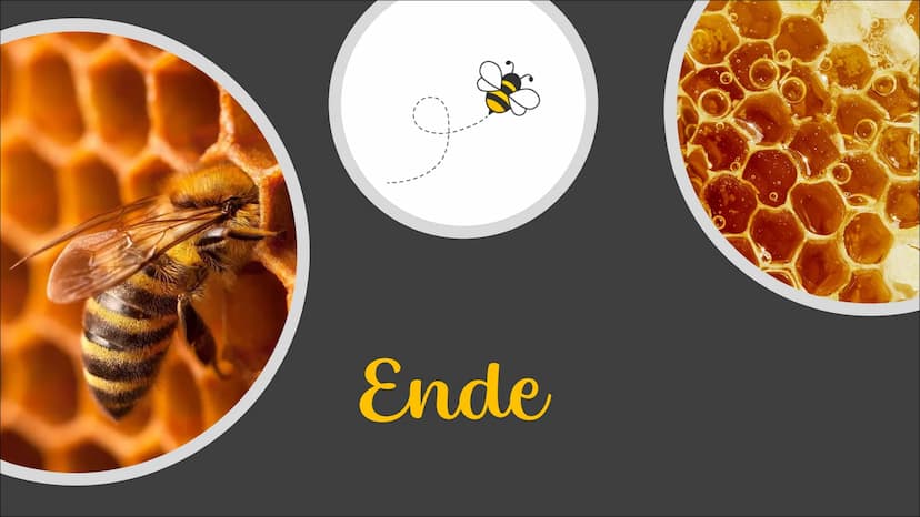 Die Honigbiene Das
Bienenvolk
●
●
Sie leben in einem Bienenvolk
Die Bienen sind in einem Bienstock
Ein Volk besteht aus 40000 bis 80000 Tier