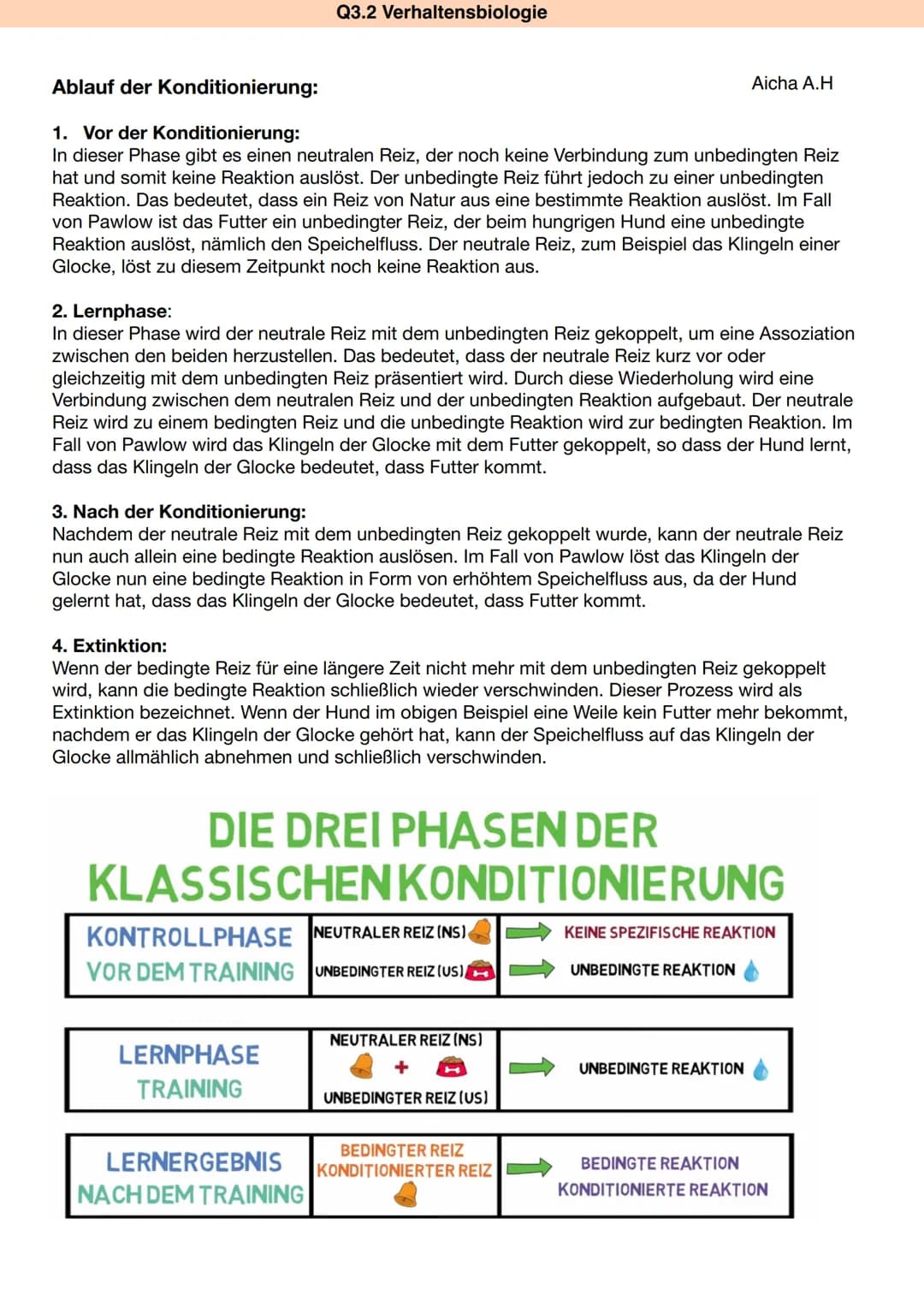 Q3.2 Verhaltensbiologie
Lernformen
Klassische Konditionierung nach Pawlow
Die klassische Konditionierung nach Pawlow beschreibt einen Lernpr