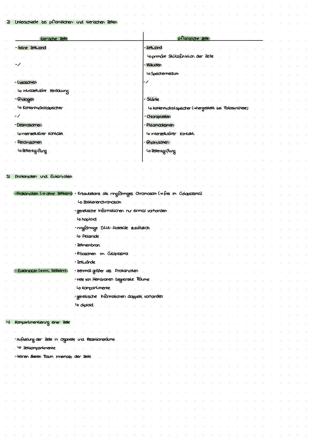 ZELLEN
1) Aufbau der Zelle
tierische Zelle
bosomen
Lo, Proteinbiosynthese"
Endoplasmatisches
Reticulum (ER)
LD, Transportsystem"
Mitochondri