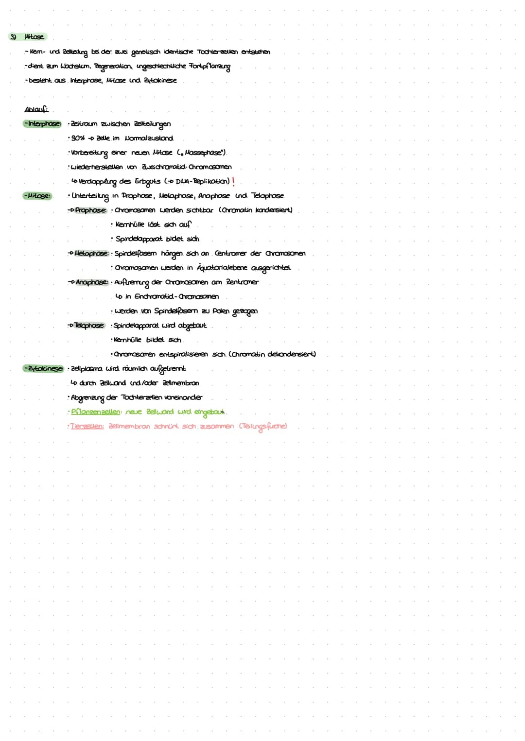 ZELLEN
1) Aufbau der Zelle
tierische Zelle
bosomen
Lo, Proteinbiosynthese"
Endoplasmatisches
Reticulum (ER)
LD, Transportsystem"
Mitochondri