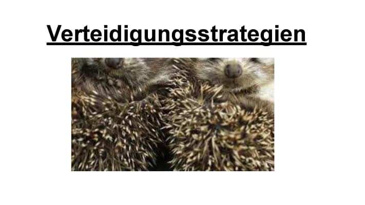 Know Verteidigungsstrategien thumbnail