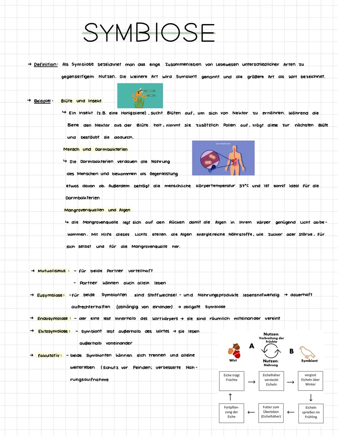 # SYMBIOSE

Definition: Als Symbiose bezeichnet man das enge Zusammenleben von Lebewesen unterschiedlicher Arten zu
gegenseitigem Nutzen. Di