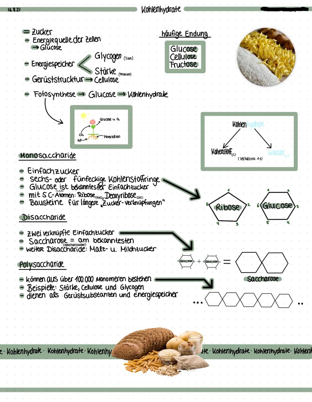 16.8.21
Zucker
Energiequelle der Zellen
Glucose
Glycogen (
Stärke (Pflanzen).
Glucose u. 0₂
Energiespeicher
Gerüststrucktur Cellulose
Fotosy