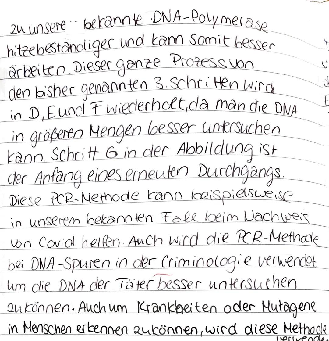 Grundkurs BIOLOGIE
●
Name:
Themen: Molekulare Genetik
Allgemeine Hinweise zur Klausur: Lassen Sie eine viertel Seite Rand! Verwenden Sie Fac