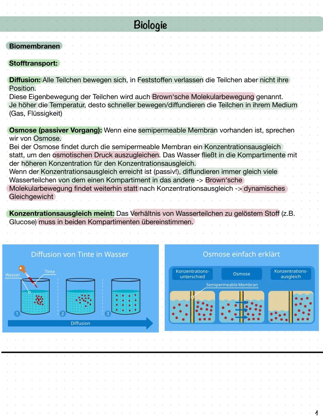 Biomembranen
Stofftransport:
Diffusion: Alle Teilchen bewegen sich, in Feststoffen verlassen die Teilchen aber nicht ihre
Position.
Diese Ei