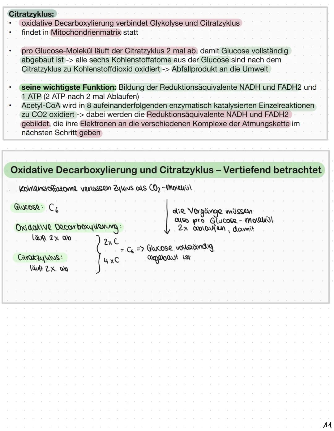 Biomembranen
Stofftransport:
Diffusion: Alle Teilchen bewegen sich, in Feststoffen verlassen die Teilchen aber nicht ihre
Position.
Diese Ei