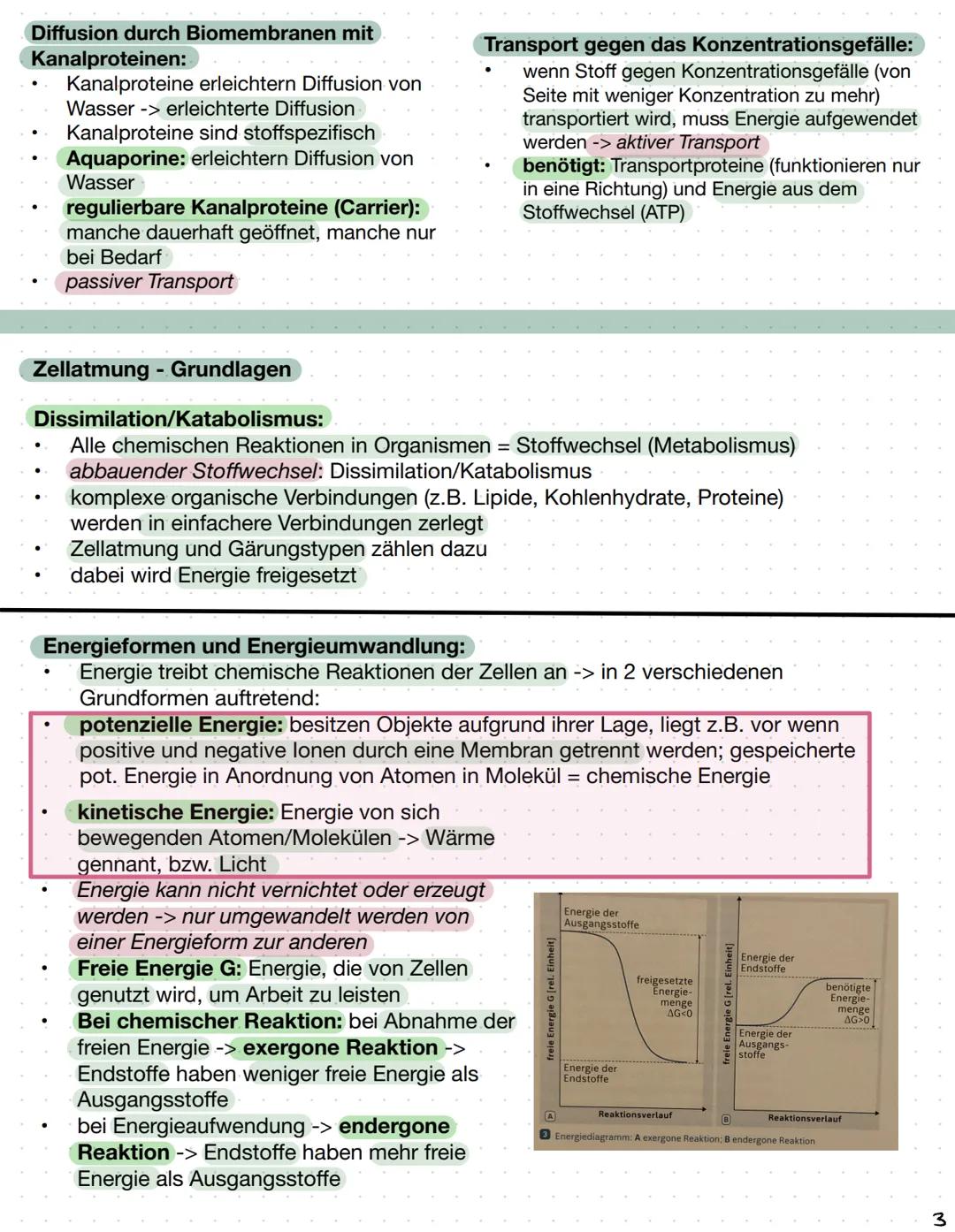 Biomembranen
Stofftransport:
Diffusion: Alle Teilchen bewegen sich, in Feststoffen verlassen die Teilchen aber nicht ihre
Position.
Diese Ei