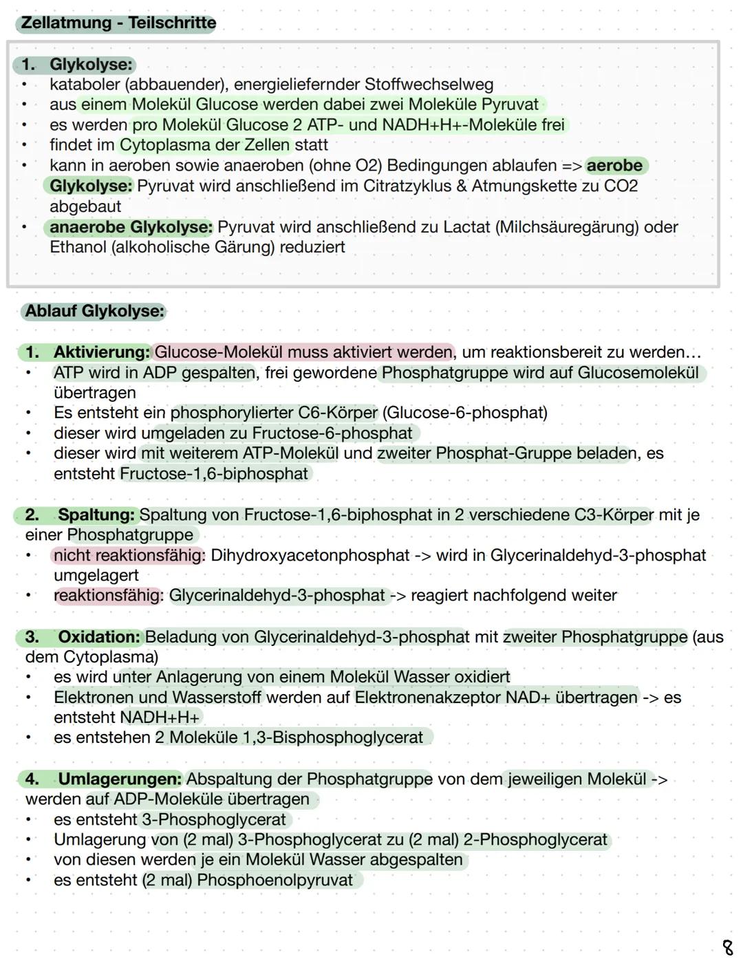 Biomembranen
Stofftransport:
Diffusion: Alle Teilchen bewegen sich, in Feststoffen verlassen die Teilchen aber nicht ihre
Position.
Diese Ei