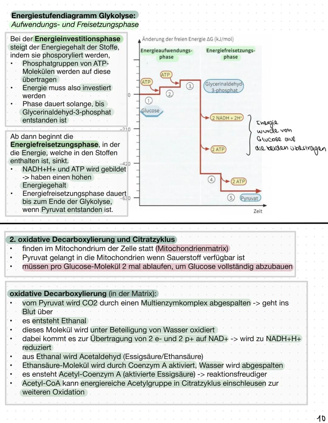 Biomembranen
Stofftransport:
Diffusion: Alle Teilchen bewegen sich, in Feststoffen verlassen die Teilchen aber nicht ihre
Position.
Diese Ei
