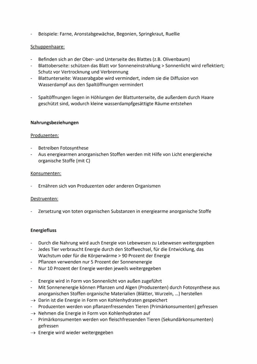 Aufbau und Einteilung von Ökosystemen
Produzenten: Organismen, die Photosynthese betreiben und aus Kohlenstoffdioxid und
Wasser energiereich