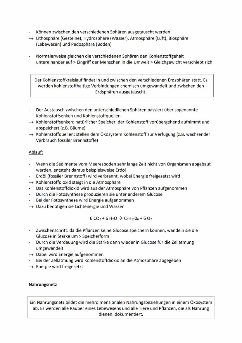 Aufbau und Einteilung von Ökosystemen
Produzenten: Organismen, die Photosynthese betreiben und aus Kohlenstoffdioxid und
Wasser energiereich