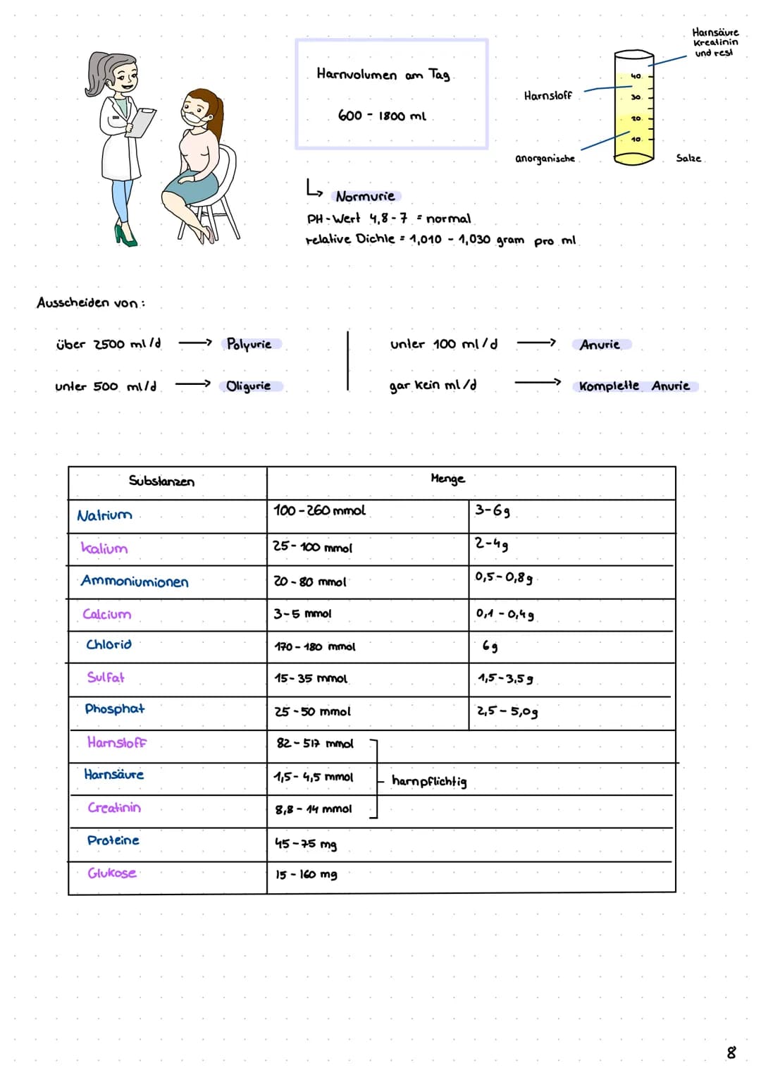 Wie entsteht unser Urin?
Überblick von Niere, Nephron
Analytik von Harn >> Inhaltsverzeichnis >>
| Harnsystem und Niere.
2 Wie wird Urin her