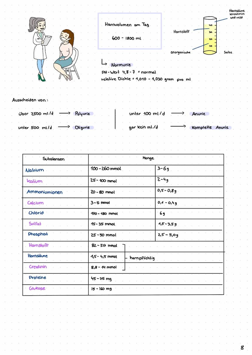 Wie entsteht unser Urin?
Überblick von Niere, Nephron
Analytik von Harn >> Inhaltsverzeichnis >>
| Harnsystem und Niere.
2 Wie wird Urin her