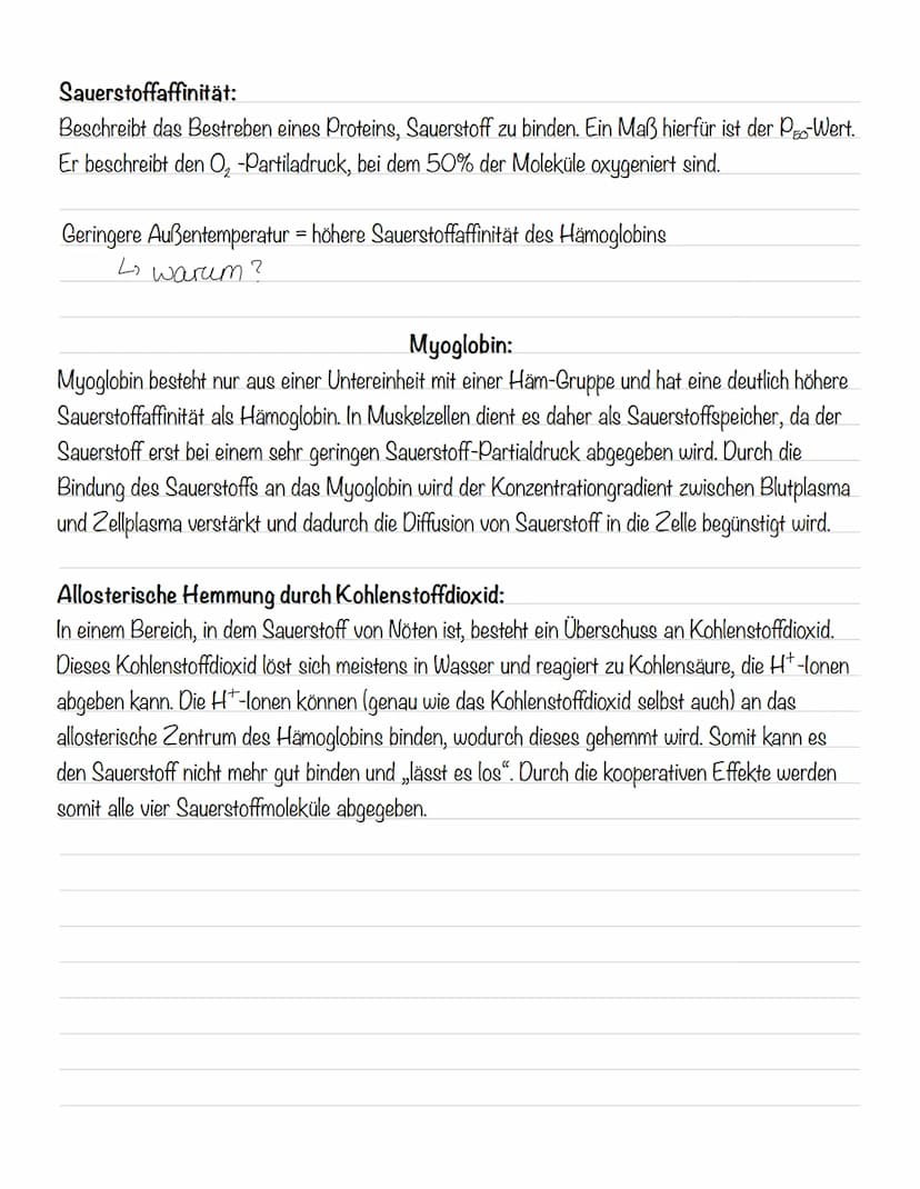  Hämoglobin
Das Protein Hämoglobin ist in den Erythrozyten enthalten, die dafür sorgen, dass eine größere
Menge Sauerstoff transportiert wer