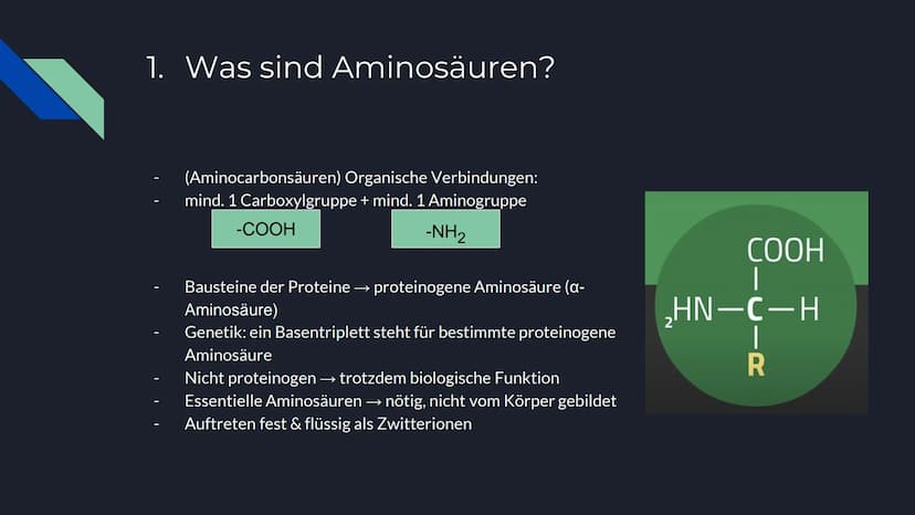 Die
Geschmacksverstärker
Geschmackstuning durch
Aminosäuren Gliederung
1. Was sind Aminosäuren?
2. Was sind Geschmacksverstärker?
3. Gewinnu