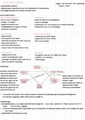 Know Lernzettel Q2 Politik: Soziale Marktwirtschaft und soziale Ungleichheit  thumbnail