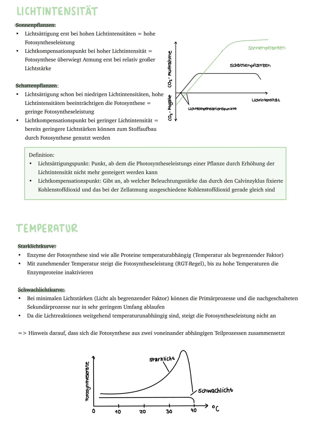 Umwandlung von Licht in chemisch
gebundene Energie
Primärprozesse
Schwammgewebe
●
Epidermis
●
●
BAV UND FUNKTION DES BLATTES
bifaziales Blat
