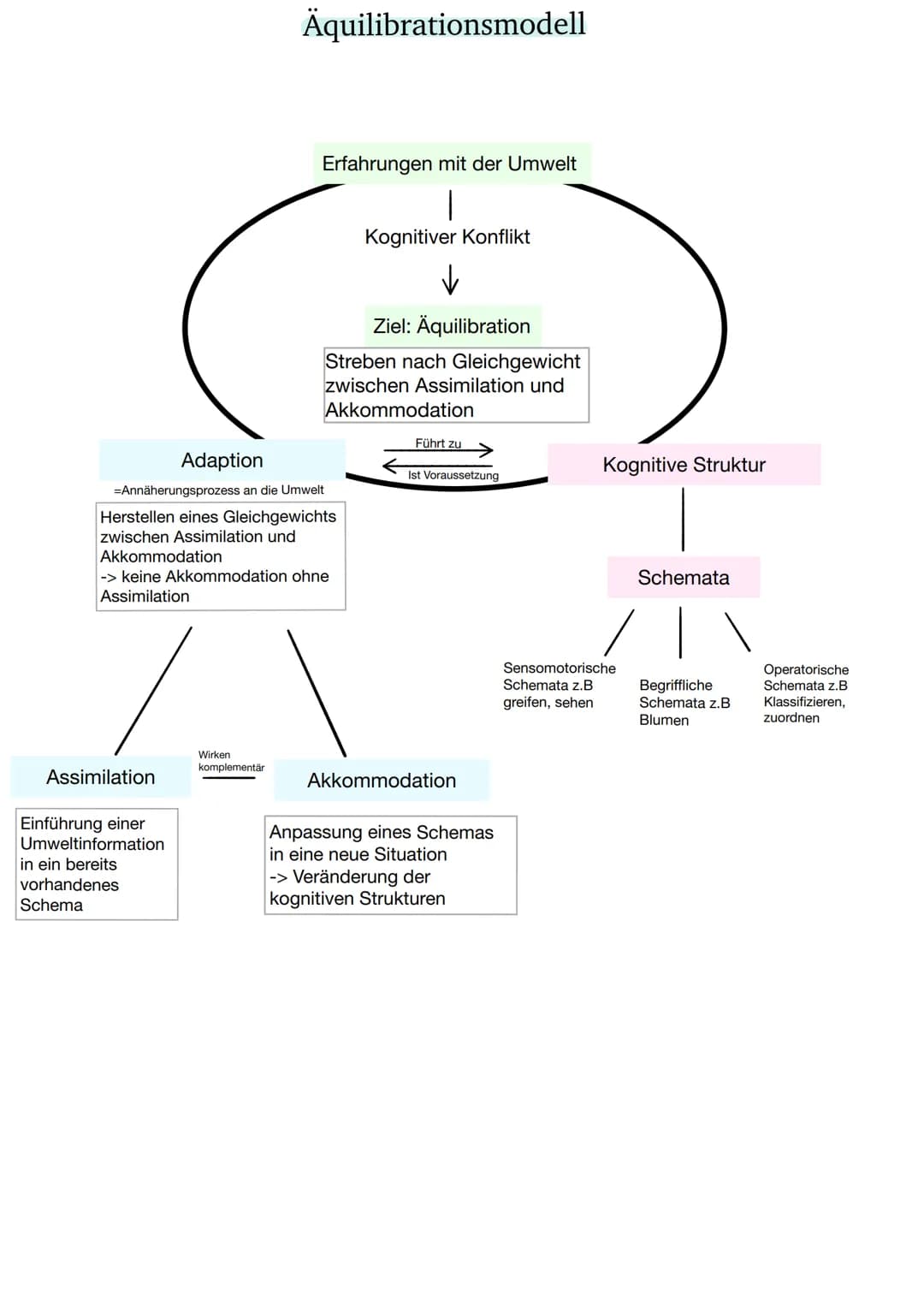 Adaption
=Annäherungsprozess an die Umwelt
Herstellen eines Gleichgewichts
zwischen Assimilation und
Akkommodation
Assimilation
Äquilibratio