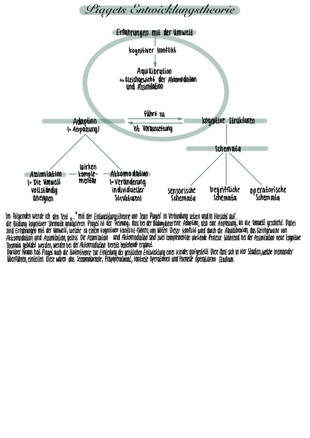 Piagets Entwicklungstheorie
Erfahrungen mit der Umwelt
kognitiver konflikt
vollständig
aneignen
Adaption
(= Anpassung)
wirken
Assimilation -