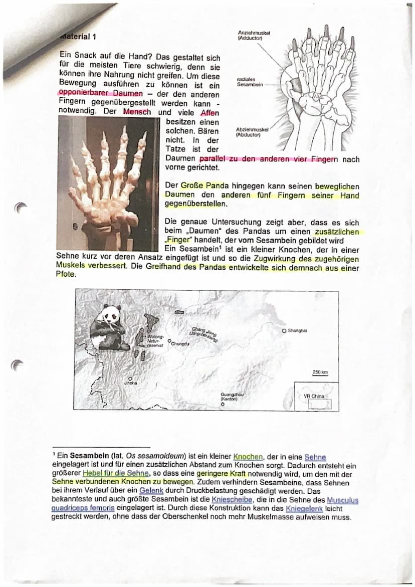 Biologieklausur Nr. 1
Evolution
Kurs Be (LK)
19
Q4
Not
21.02.2024
Evolution
1. Vergleichen Sie die Evolutionstheorien nach LAMARCK und
DARWI