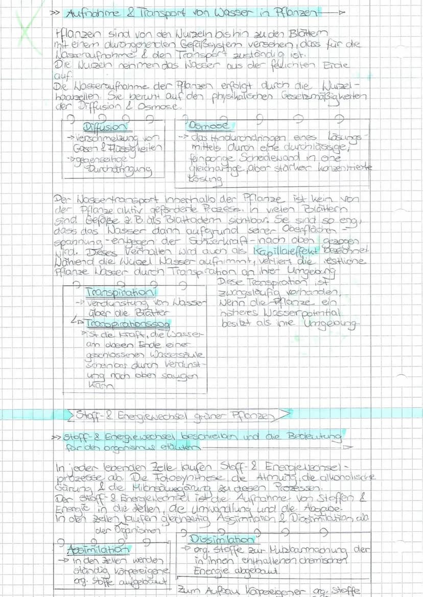 Schwerpunkte für die BLF - Biologie 20
Die Aufgaben beziehen sich auf die im Thüringer Lehrplan für den Erwerb der Allgemeinen Hochschulreif
