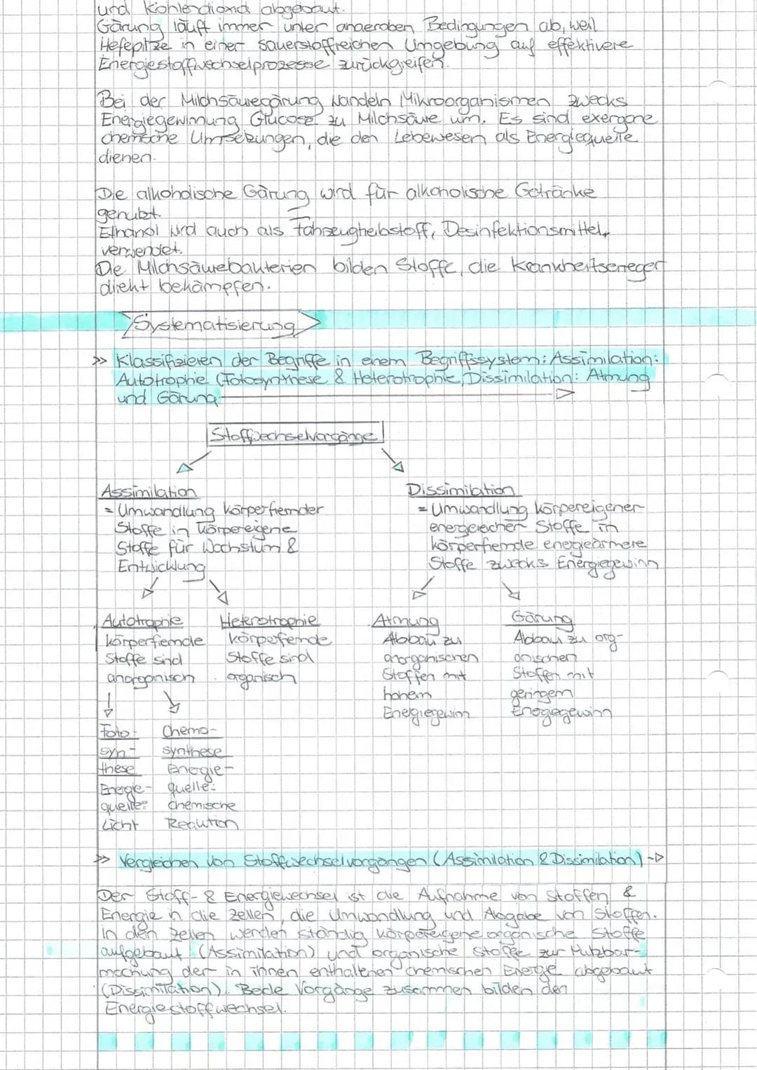 Biologie Prüfung Realschule 2024: Themen und Aufgaben für Klasse 10