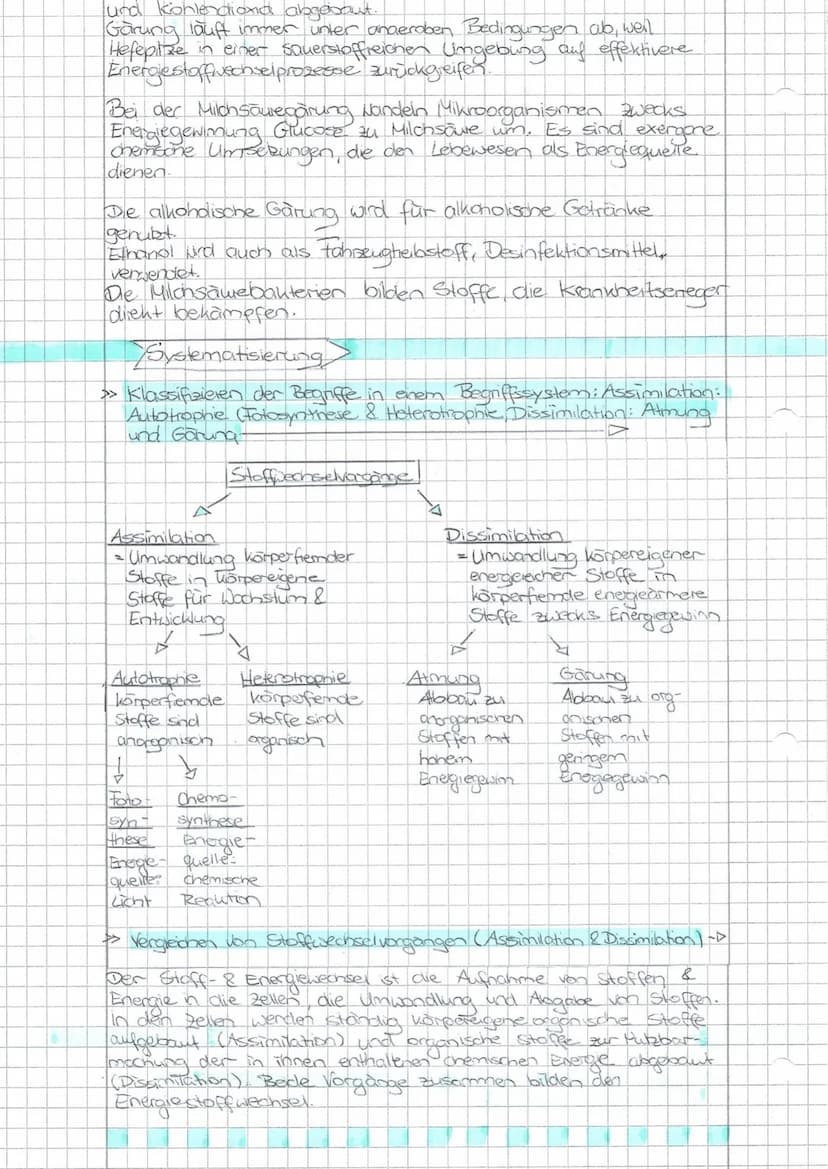 Schwerpunkte für die BLF - Biologie 20
Die Aufgaben beziehen sich auf die im Thüringer Lehrplan für den Erwerb der Allgemeinen Hochschulreif