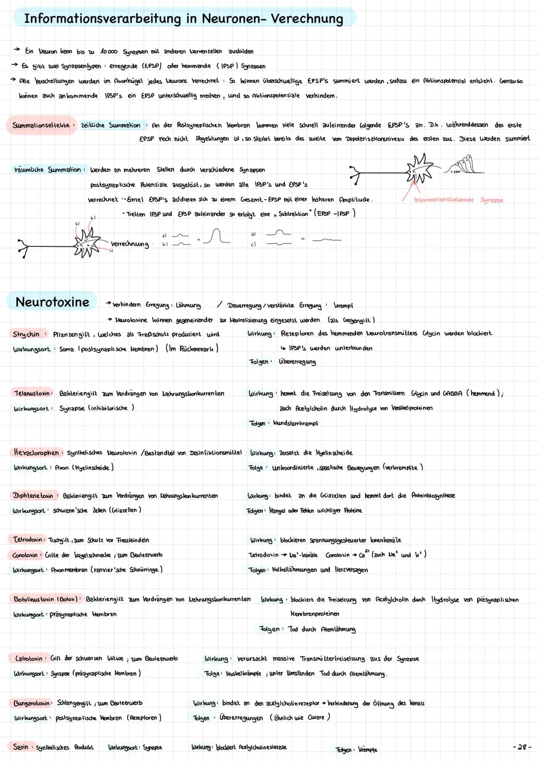 Die Nervenzelle - Aufbau und Funktion → Nervenzellen (Neurone ) sind die Informationsübertragende und
in formations verarbeitenden Elemente 
