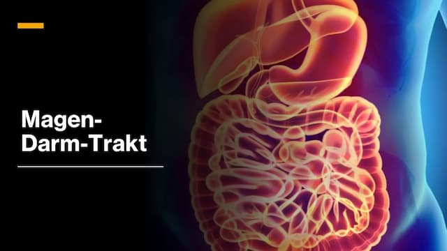 Know Magen-Darm-Trakt PowerPoint thumbnail