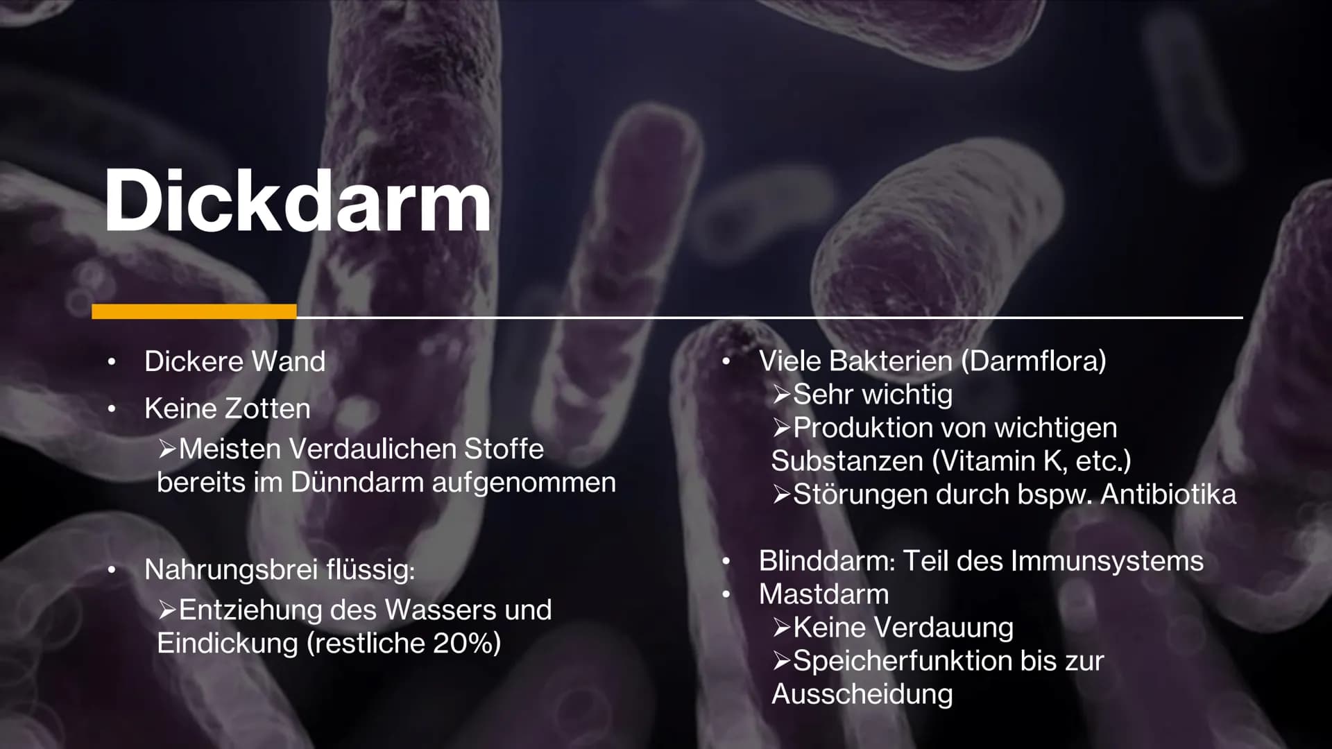 Magen-
Darm-Trakt Gliederung
Definition
Organe
Mundhöhle &
Speiseröhre
X
Magen
Darm
Quellen 01.
toppha
Apof
●
●
Definition
Alle Teile des Kö