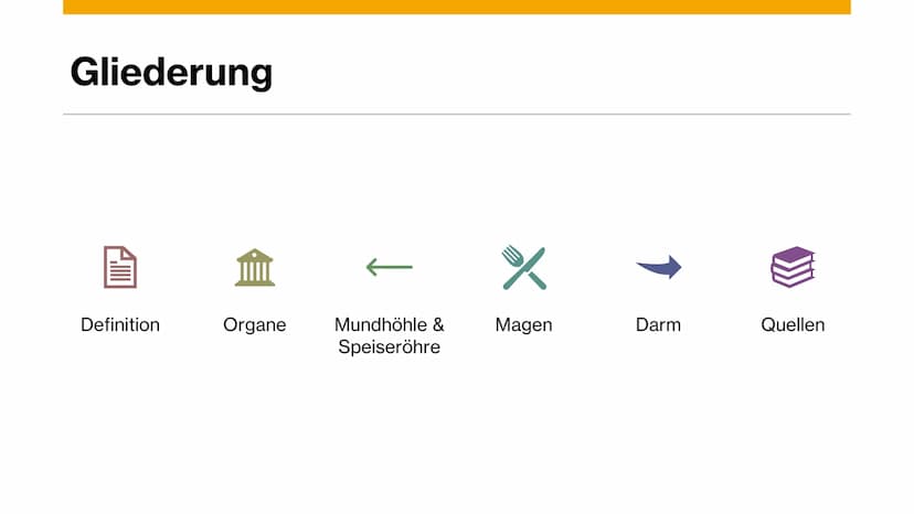 Magen-
Darm-Trakt Gliederung
Definition
Organe
Mundhöhle &
Speiseröhre
X
Magen
Darm
Quellen 01.
toppha
Apof
●
●
Definition
Alle Teile des Kö