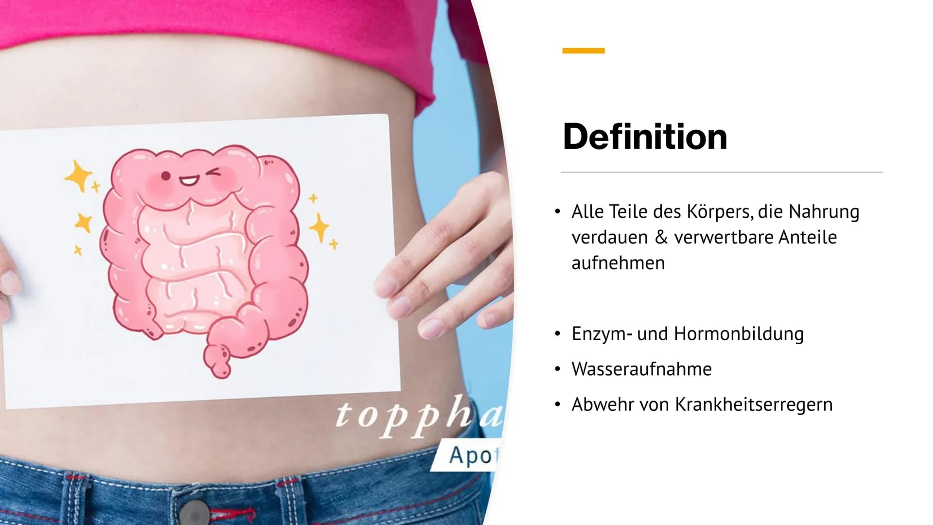 Magen-
Darm-Trakt Gliederung
Definition
Organe
Mundhöhle &
Speiseröhre
X
Magen
Darm
Quellen 01.
toppha
Apof
●
●
Definition
Alle Teile des Kö