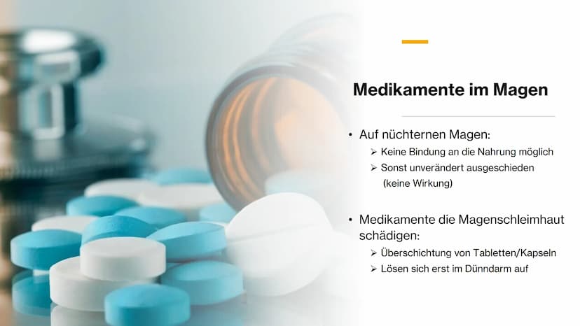 Magen-
Darm-Trakt Gliederung
Definition
Organe
Mundhöhle &
Speiseröhre
X
Magen
Darm
Quellen 01.
toppha
Apof
●
●
Definition
Alle Teile des Kö