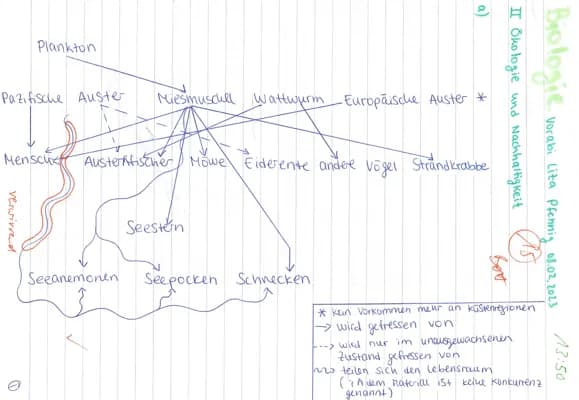 Know Biologie Vorabi thumbnail