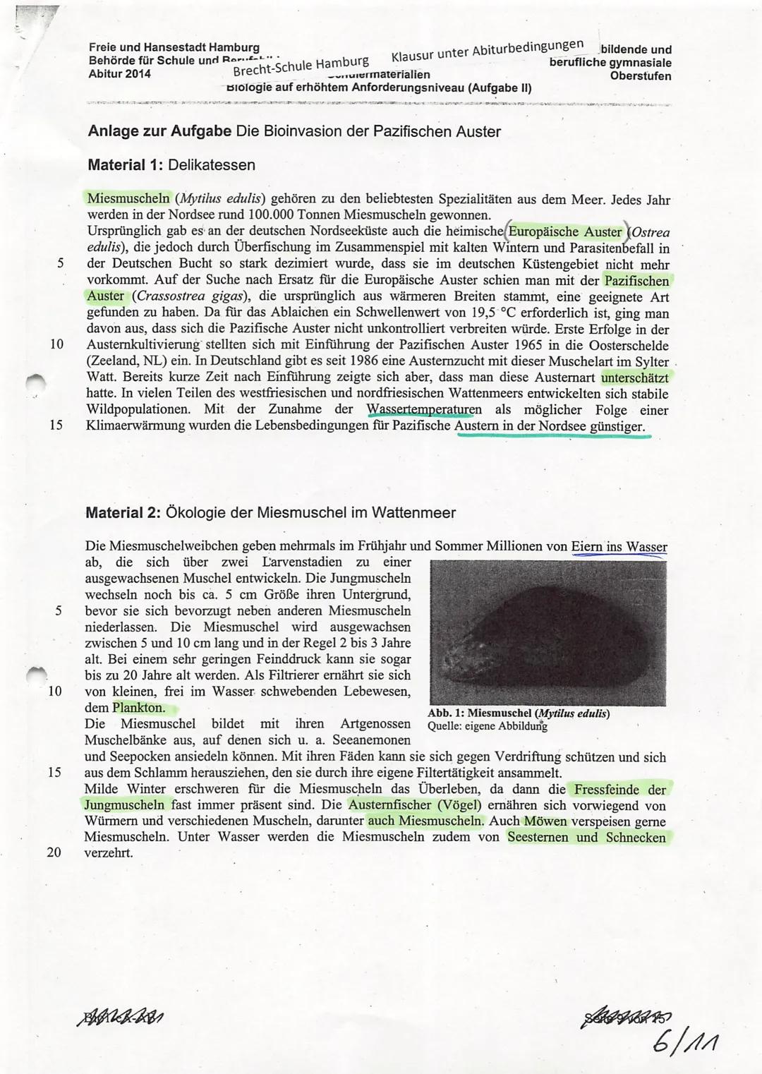 Pazifische Auster
Plankton
Mensch
Verwirrend
0
Miesmuschel Wattwurm
Seeanemonen
Seestern
Austernfischer Mowe Eiderente andere Vögel Strandkr