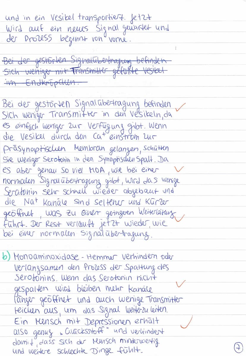 Pazifische Auster
Plankton
Mensch
Verwirrend
0
Miesmuschel Wattwurm
Seeanemonen
Seestern
Austernfischer Mowe Eiderente andere Vögel Strandkr