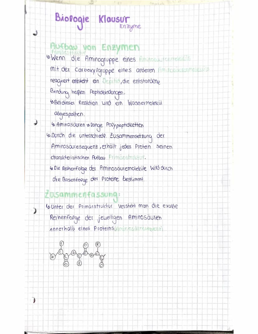 Was sind Enzyme?
Enzyme sind komplexe Molekule, die
Stoffwechselvorgänge im Körper katolysieren
(beschleunigen ohne sepost verandert
20 Werd