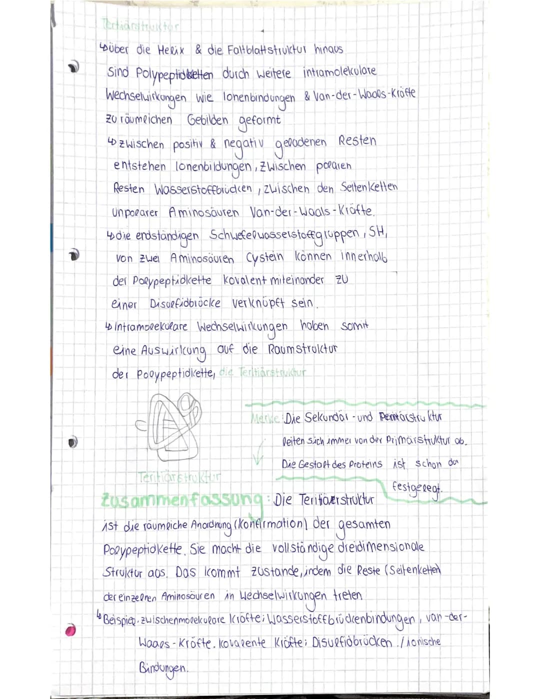 Was sind Enzyme?
Enzyme sind komplexe Molekule, die
Stoffwechselvorgänge im Körper katolysieren
(beschleunigen ohne sepost verandert
20 Werd