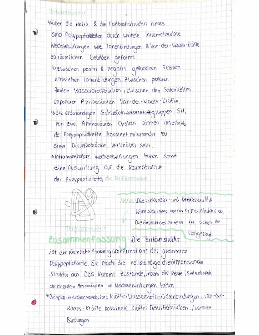 Was sind Enzyme?
Enzyme sind komplexe Molekule, die
Stoffwechselvorgänge im Körper katolysieren
(beschleunigen ohne sepost verandert
20 Werd