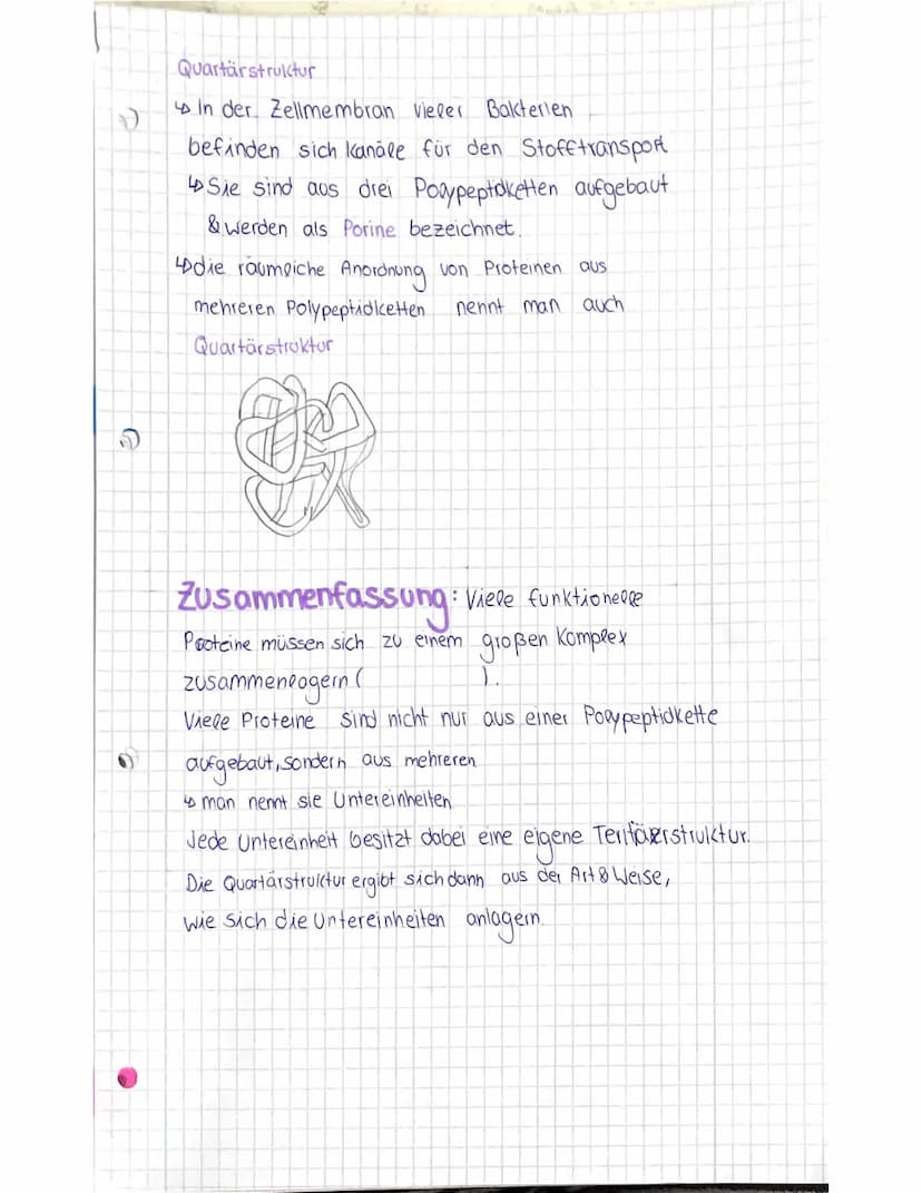 Was sind Enzyme?
Enzyme sind komplexe Molekule, die
Stoffwechselvorgänge im Körper katolysieren
(beschleunigen ohne sepost verandert
20 Werd