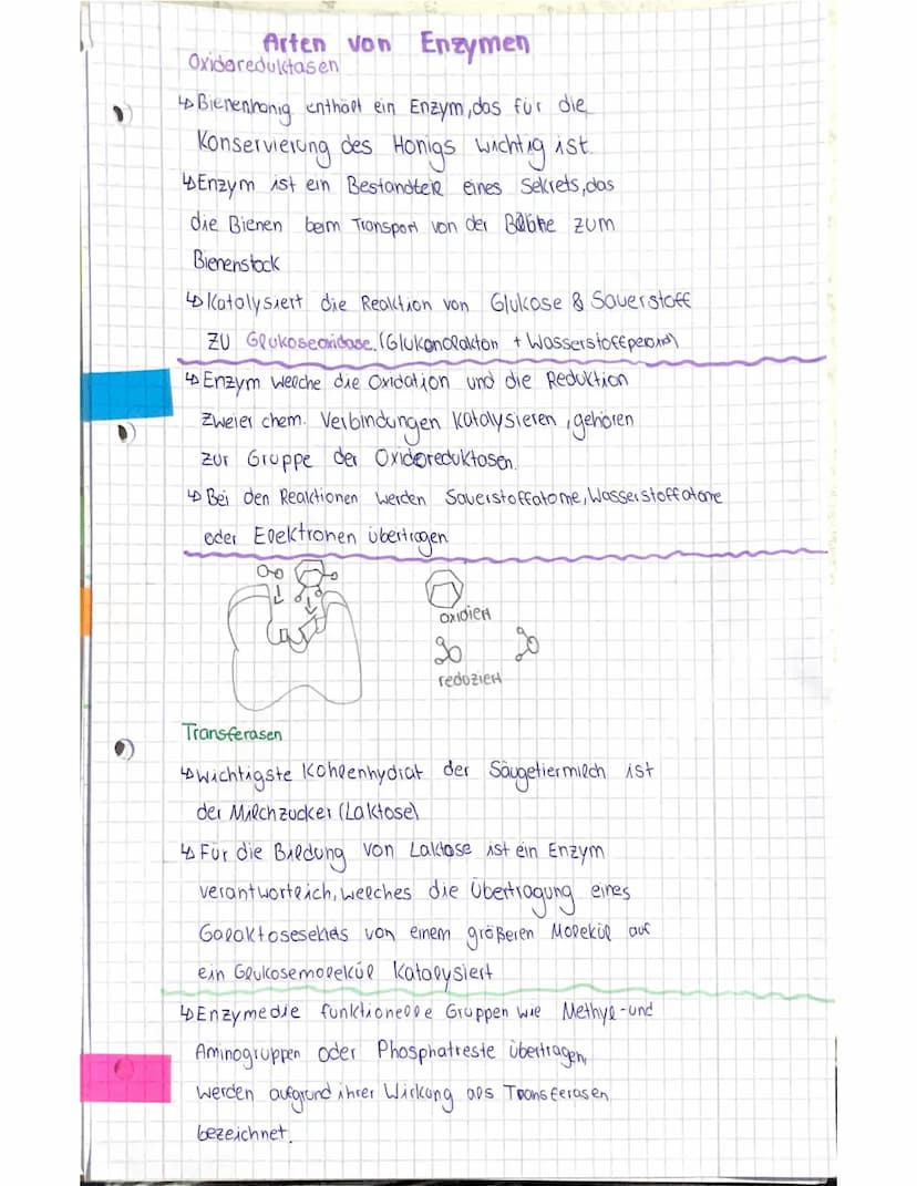Was sind Enzyme?
Enzyme sind komplexe Molekule, die
Stoffwechselvorgänge im Körper katolysieren
(beschleunigen ohne sepost verandert
20 Werd