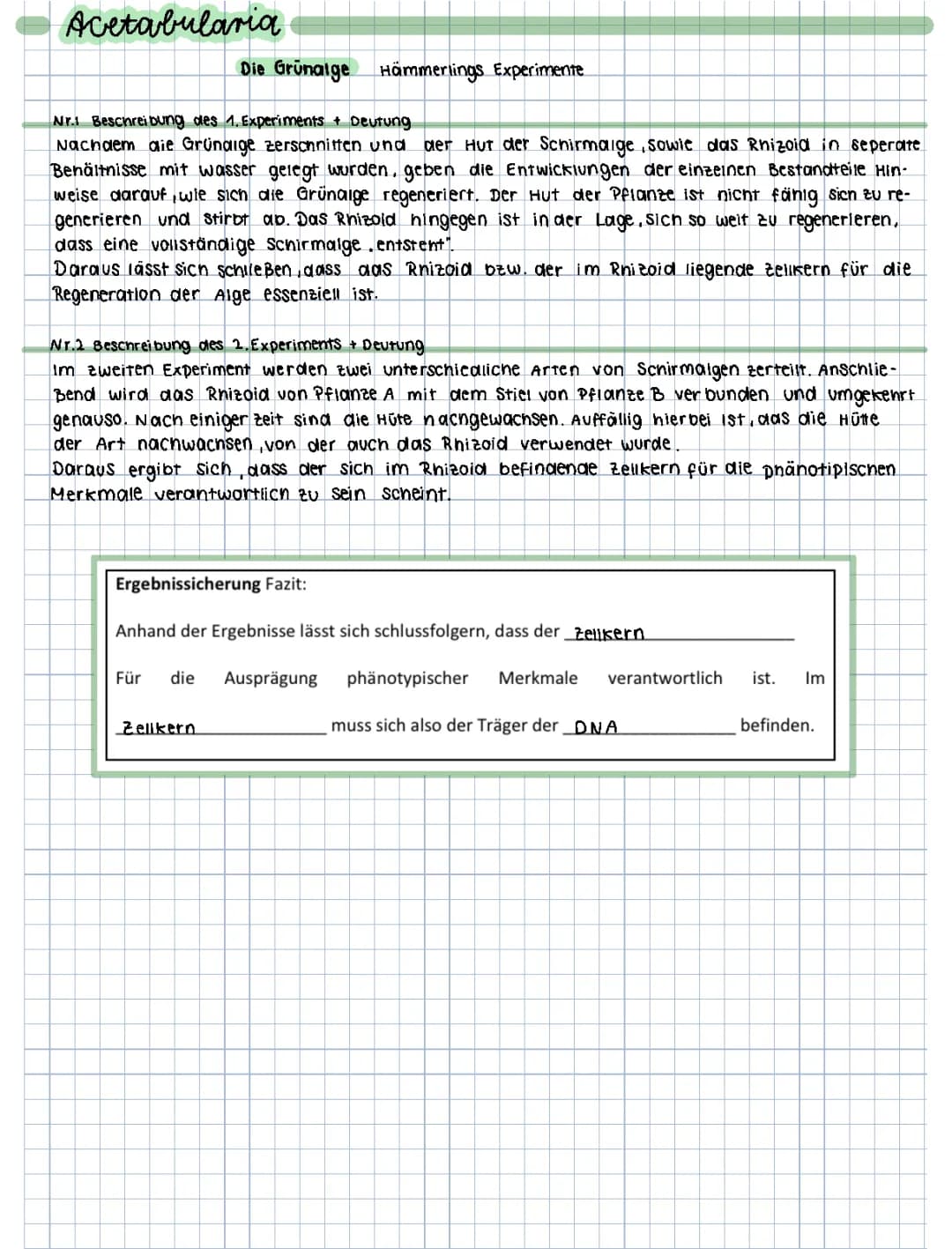 Das spannende Acetabularia Experiment: Zellkern Aufbau einfach erklärt
