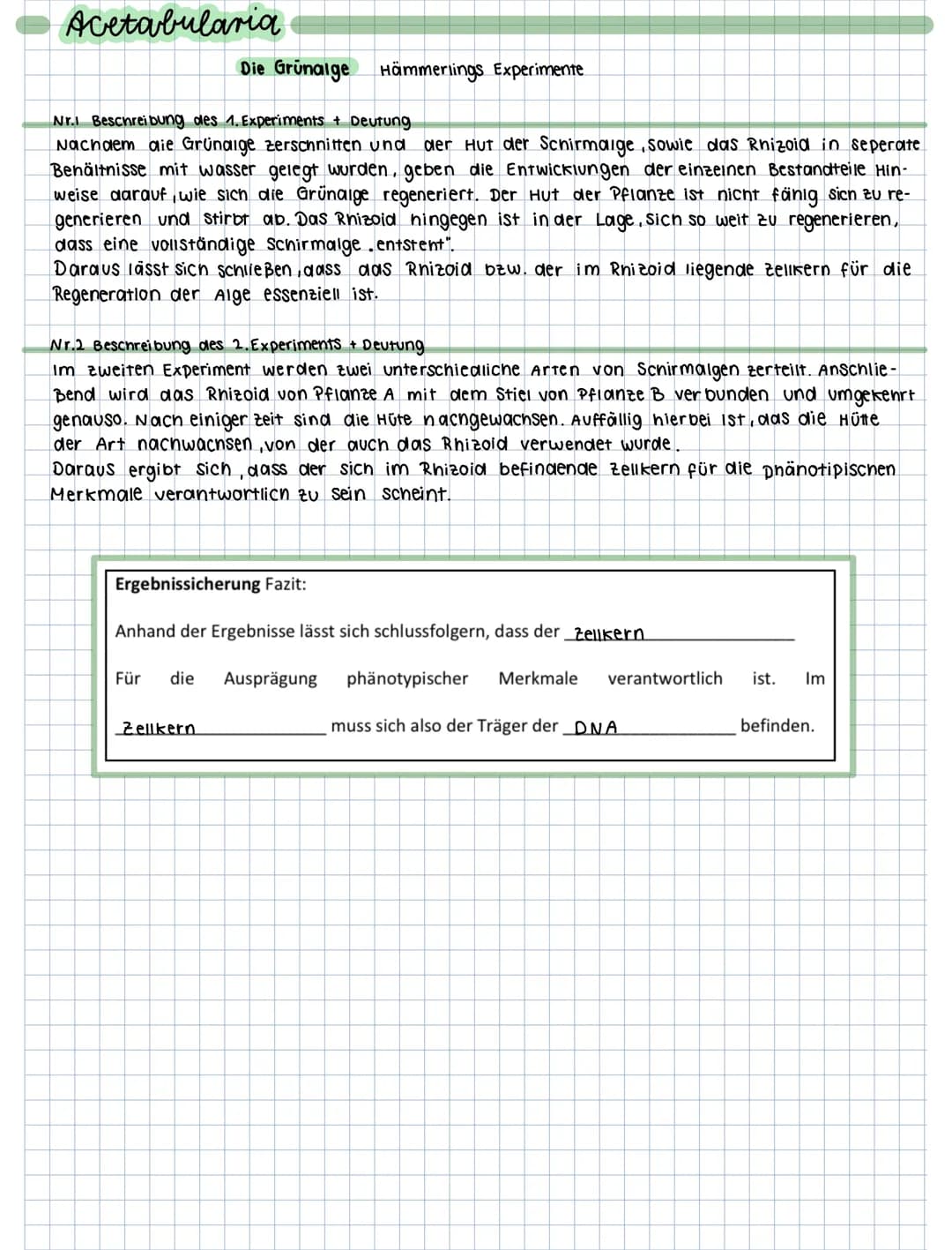 Acetabularia
Die Grünalge Hämmerlings Experimente
Nr. Beschreibung des 1. Experiments + Deutung
Nachdem die Grünaige zerschnitten und der Hu