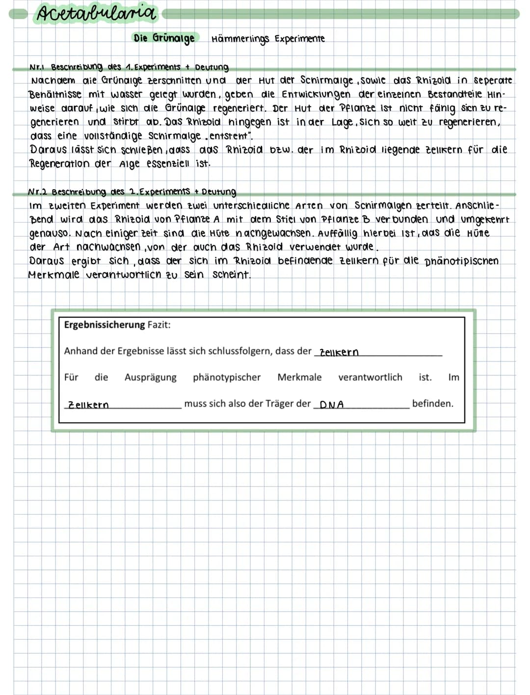 schirmalgen experiment