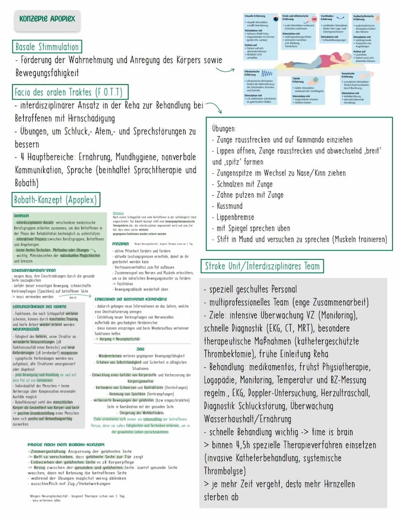 APOPLEX
Definition
Der Apoplex zählt zu den zerebralen Durchblutungsstörungen, die zu
neurologischen Ausfällen führen. Aufgrund der plötzlic