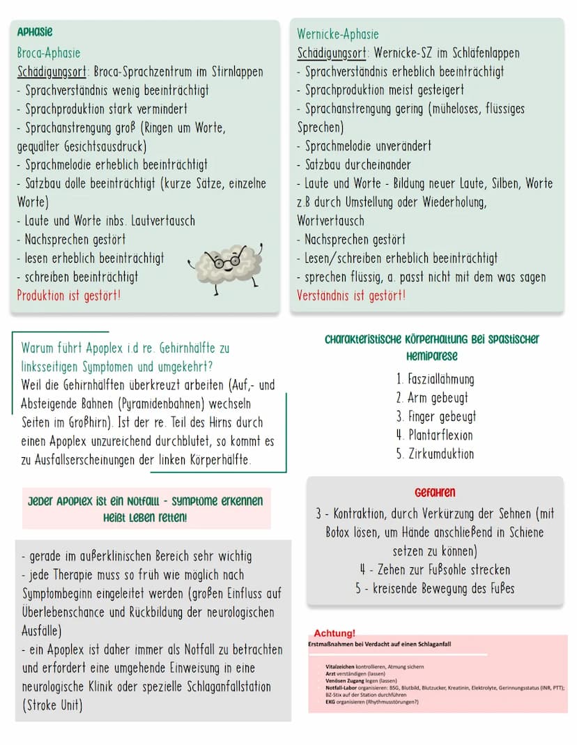 APOPLEX
Definition
Der Apoplex zählt zu den zerebralen Durchblutungsstörungen, die zu
neurologischen Ausfällen führen. Aufgrund der plötzlic