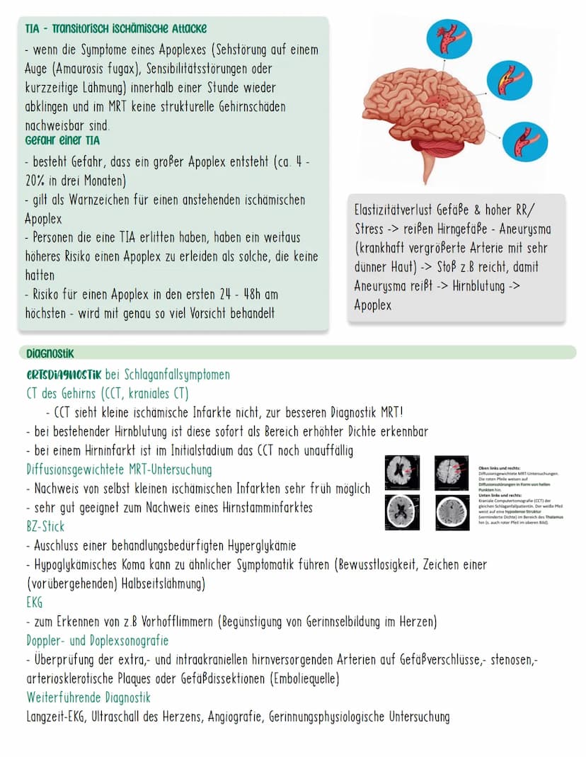 APOPLEX
Definition
Der Apoplex zählt zu den zerebralen Durchblutungsstörungen, die zu
neurologischen Ausfällen führen. Aufgrund der plötzlic