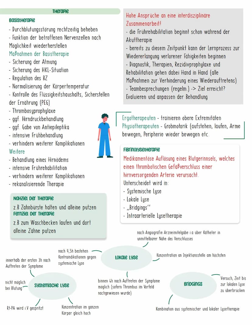 APOPLEX
Definition
Der Apoplex zählt zu den zerebralen Durchblutungsstörungen, die zu
neurologischen Ausfällen führen. Aufgrund der plötzlic