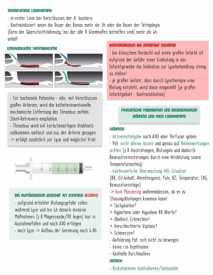 APOPLEX
Definition
Der Apoplex zählt zu den zerebralen Durchblutungsstörungen, die zu
neurologischen Ausfällen führen. Aufgrund der plötzlic