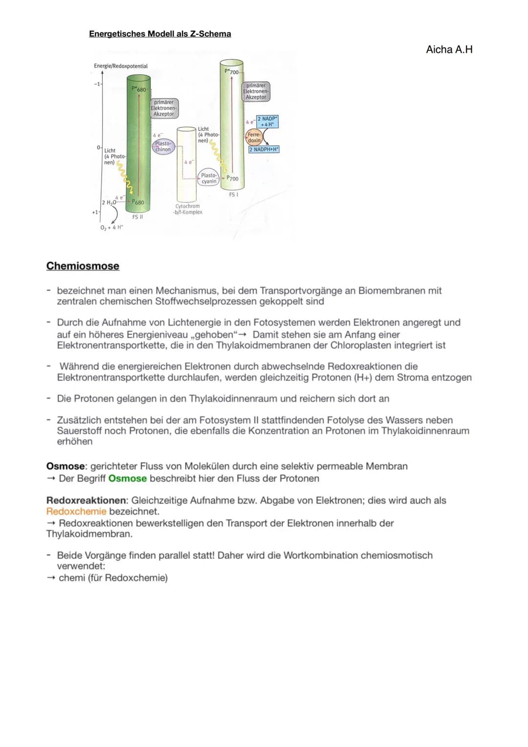 Q2.2 Grundlegende Stoffwechselprozesse: Fotosynthese und Grundlagen der Zellatmung
Chlorophyll (Blattgrün)
• natürlicher Farbstoff, der in a